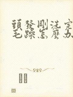 头发刚洗完干枯毛躁怎么办