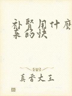 补肾用什么食补来的快