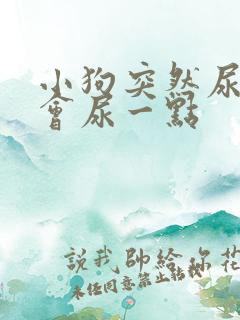 小狗突然尿频一会尿一点