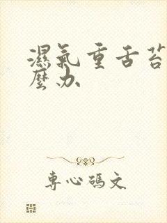 湿气重舌苔白怎么办