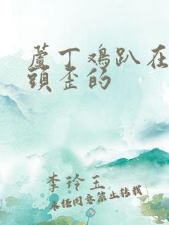 芦丁鸡趴在地上头歪的