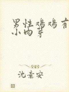 男性鸡鸡有一排小肉芽