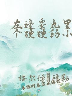 左边睾丸里面有个硬硬的小疙瘩