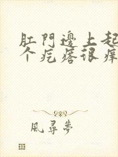 肛门边上起了一个疙瘩很痒