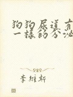 狗狗尿道有像脓一样的分泌物