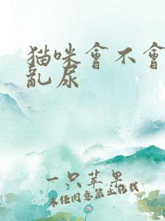 猫咪会不会乱拉乱尿