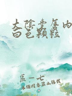 大阴囊唇内侧有白色颗粒