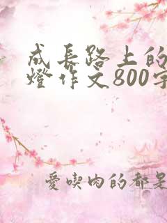 成长路上的一盏灯作文800字