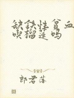 缺铁性贫血可以吃榴莲吗