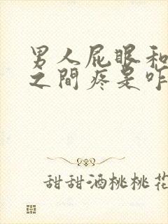 男人屁眼和睾丸之间疼是咋回事