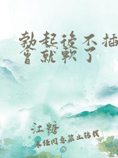 勃起后不插入一会就软了