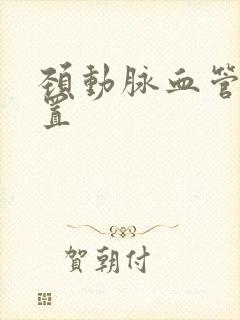 颈动脉血管的位置