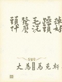 头发毛躁掉发用什么洗头好