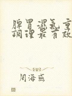 脾胃湿气重怎么调理最有效