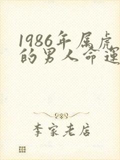 1986年属虎的男人命运