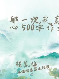 那一次,我真开心 500字作文