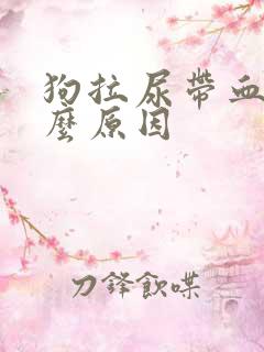 狗拉尿带血是什么原因