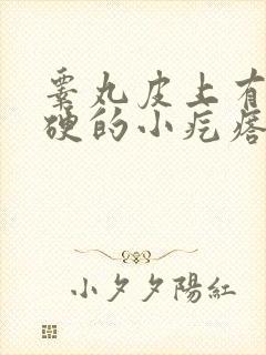 睾丸皮上有个硬硬的小疙瘩