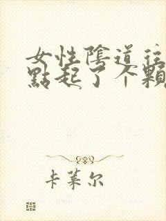 女性阴道往后一点起了个颗粒