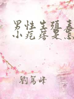 男性生殖表皮有小疙瘩是怎么回事挂什么科