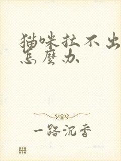 猫咪拉不出粑粑怎么办