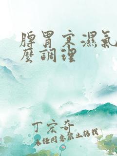 脾胃寒湿气重怎么调理