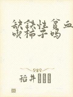 缺铁性贫血可以吃柿子吗