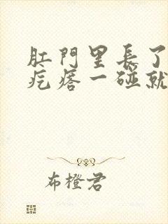 肛门里长了一个疙瘩一碰就疼