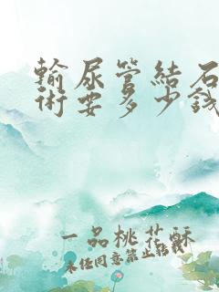 输尿管结石做手术要多少钱