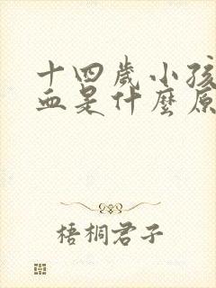 十四岁小孩流鼻血是什么原因