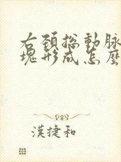 右颈总动脉有斑块形成怎么办