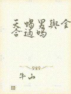 天蝎男与金牛女合适吗