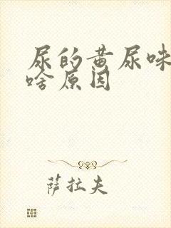 尿的黄尿味重是啥原因