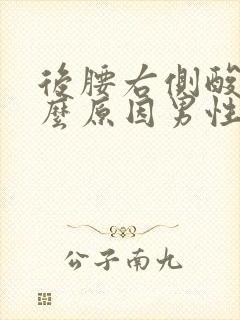 后腰右侧酸痛什么原因男性