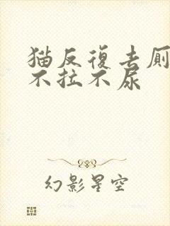 猫反复去厕所却不拉不尿