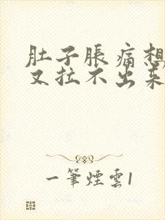 肚子胀痛想大便又拉不出来