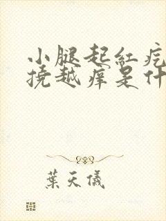 小腿起红疙瘩越挠越痒是什么病