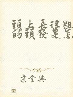 头上长很粗很硬的头发是怎么回事?