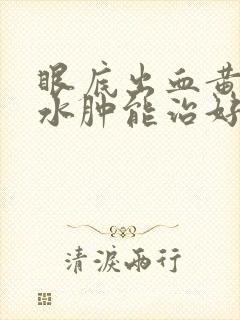 眼底出血黄斑区水肿能治好吗