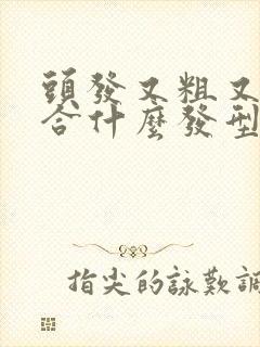 头发又粗又硬适合什么发型