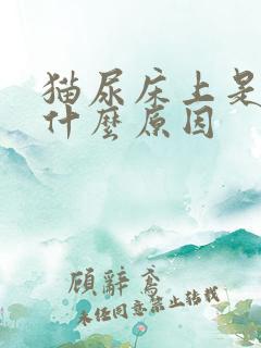 猫尿床上是因为什么原因