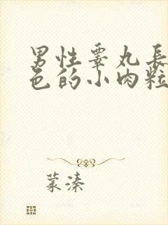 男性睾丸长了白色的小肉粒