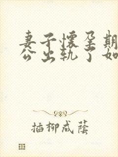 妻子怀孕期间老公出轨了如何挽回