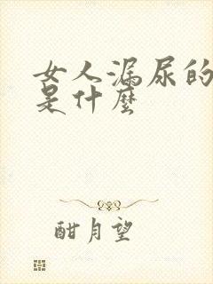 女人漏尿的原因是什么