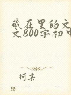 藏在里的文化作文800字初中