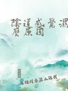 阴道感觉湿是什么原因