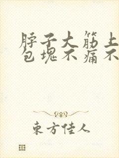 脖子大筋上有个包块不痛不痒