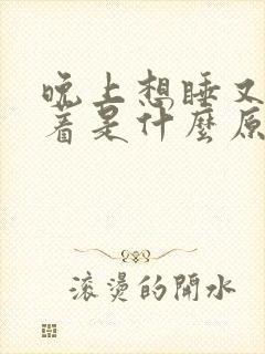 晚上想睡又睡不着是什么原因