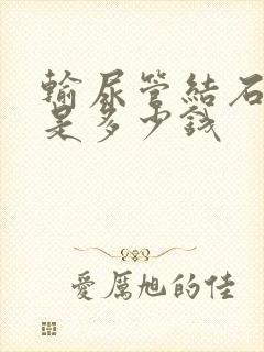 输尿管结石费用是多少钱