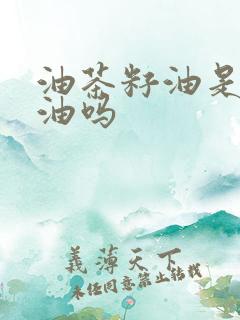 油茶籽油是山茶油吗